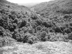 Valle de los Trolls - Frontera Dagavan (Vista desde la Cueva)