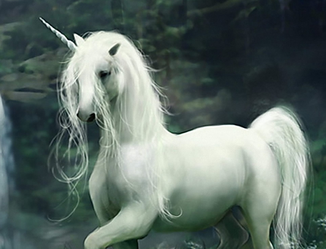 El Unicornio – Leyendas de los Mirdalirs