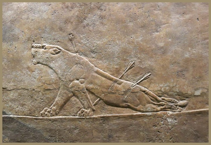 Assurbanipal a la caza del leon-Pal Assurbanipal Ninive-British Museum 1